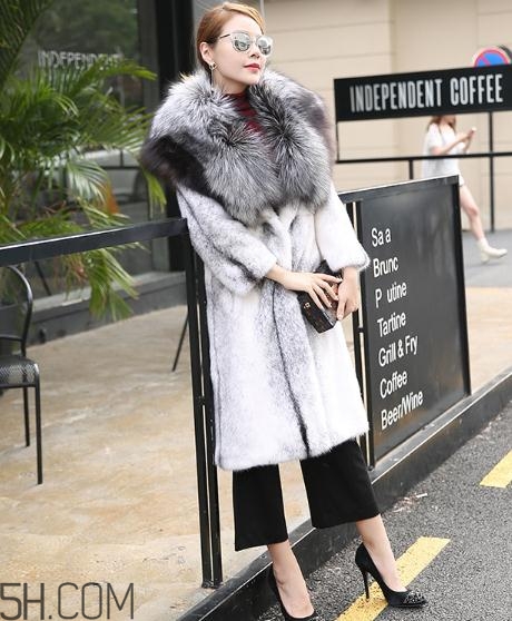 丹麥貂好還是美國貂好？丹麥貂和美國貂的區(qū)別