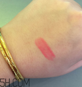 雅詩(shī)蘭黛唇膏大表姐色是什么色？適合黃皮嗎？