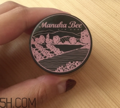 2018年唇部磨砂膏哪個牌子好？2018唇部磨砂膏推薦