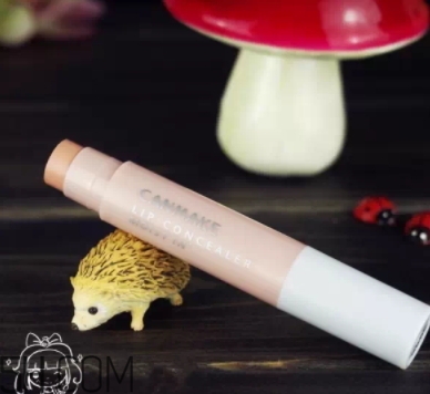 2018年唇部遮瑕膏哪個(gè)牌子好？2018唇部遮瑕膏排行榜前十強(qiáng)