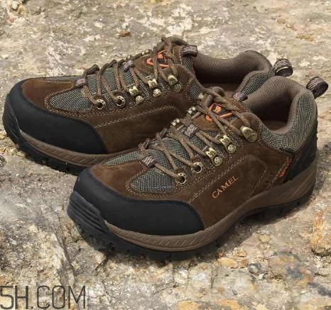 駱駝是什么牌子？駱駝是什么檔次？