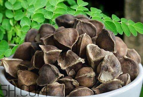 辣木籽哪里有賣 辣木籽哪里能買到 辣木籽哪里有賣 辣木籽哪里能買到