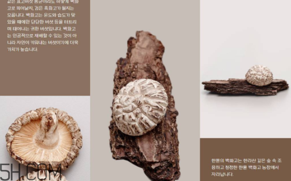 韓律護(hù)膚品怎么樣？韓律全系列介紹