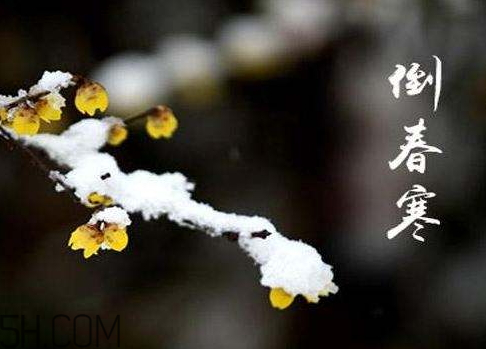 2018年倒春寒是什么時候 2018年倒春寒會持續(xù)多久 2018年倒春寒是什么時候 2018年倒春寒會持續(xù)多久