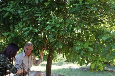 果本是國產(chǎn)牌子嗎？果本和詩婷露雅什么關(guān)系？