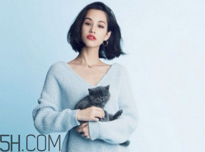 雪花秀和蘭芝哪個(gè)好用？雪花秀在韓國(guó)屬于什么檔次？