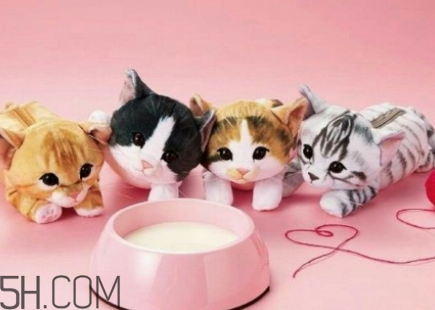 you more是什么牌子？YOU MORE是哪國的什么檔次