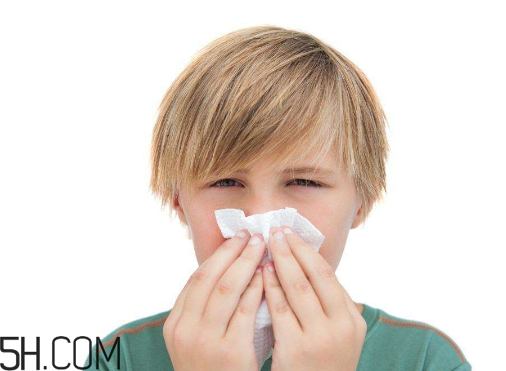 哪些藥品含有馬來(lái)酸氯苯那敏原料藥制劑？