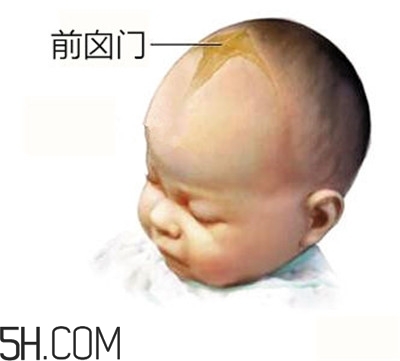 寶寶囟門(mén)是怎樣的一個(gè)部位？寶寶的囟門(mén)要怎樣保護(hù)比較好？
