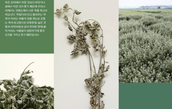 韓律護(hù)膚品怎么樣？韓律全系列介紹