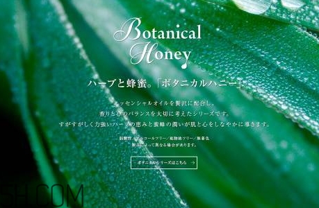 vecua是什么牌子？vecua honey是哪國(guó)的什么檔次