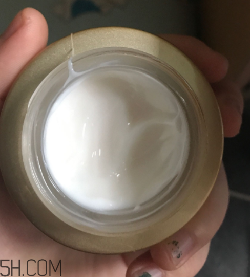 詩婷露雅蝸牛面霜適合秋冬嗎？適合油皮嗎？