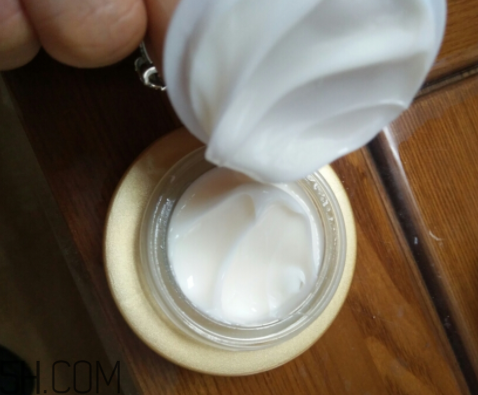 詩婷露雅蝸牛面霜適合秋冬嗎？適合油皮嗎？