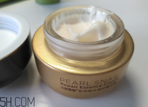 詩婷露雅蝸牛面霜適合秋冬嗎？適合油皮嗎？