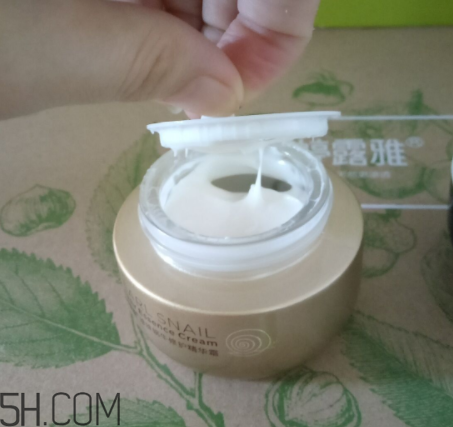 詩婷露雅蝸牛面霜適合秋冬嗎？適合油皮嗎？