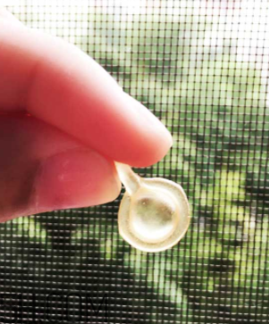 伊麗莎白雅頓眼部精華液怎么打開？怎么保存？