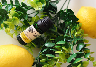 檸檬精油的功效有哪些？檸檬精油有什么功效？