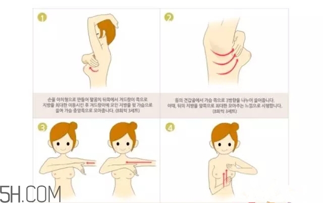 常見的豐胸湯有哪些？女人豐胸湯有哪些？