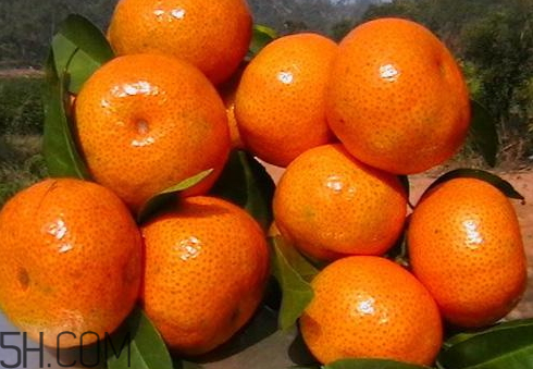 砂糖桔和沙糖桔的區(qū)別 沙糖桔和普通桔子有什么區(qū)別 砂糖桔和沙糖桔的區(qū)別 沙糖桔和普通桔子有什么區(qū)別