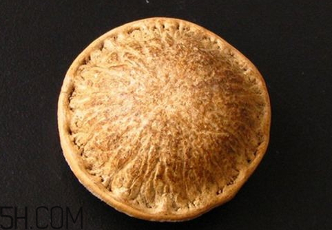 壯陽(yáng)果什么時(shí)候成熟 壯陽(yáng)果幾月成熟 壯陽(yáng)果什么時(shí)候成熟 壯陽(yáng)果幾月成熟