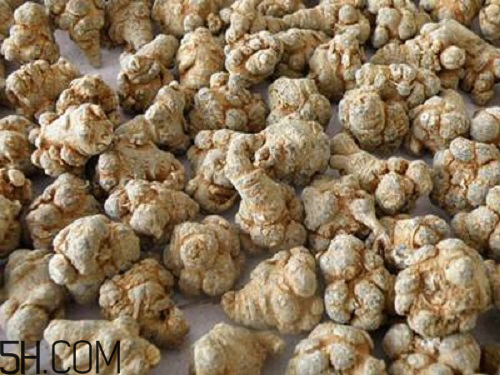 三七粉苦的好還是不苦的好？三七粉越苦越好嗎？