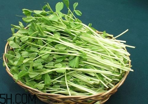 女性吃什么能瘦臉？能瘦臉的食物有哪些？