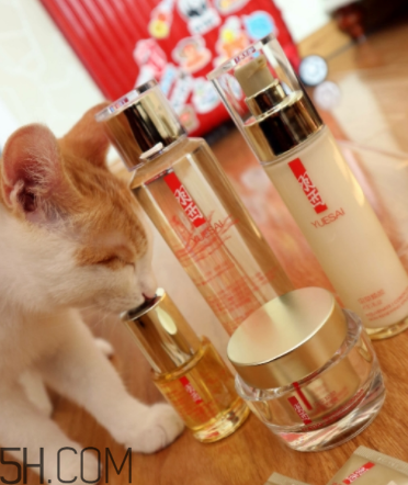 羽西蟲草新肌水有什么功效？適合什么膚質(zhì)？