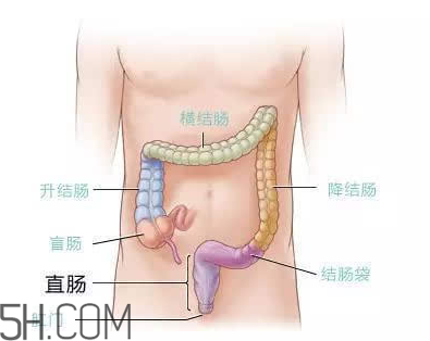 宿便有什么危害？如何清除宿便？