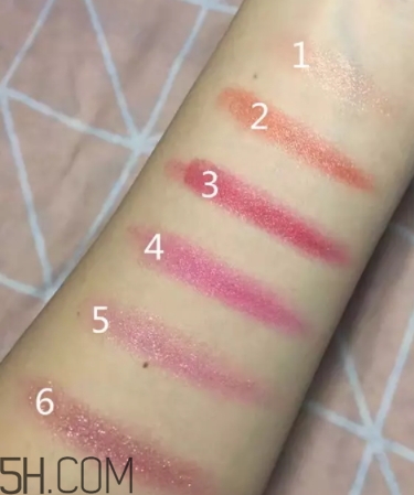 口紅盤和口紅哪個更好？口紅盤和口紅區(qū)別