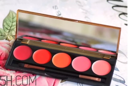 2018年口紅盤哪個牌子好？2018口紅盤排行榜前十強