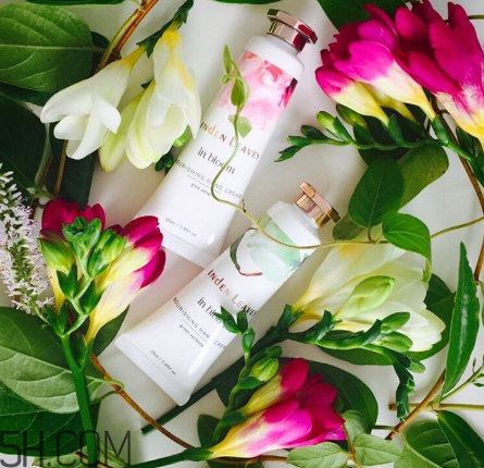 linden leaves香氛護手霜好用嗎？laura ashley護手霜好用嗎？