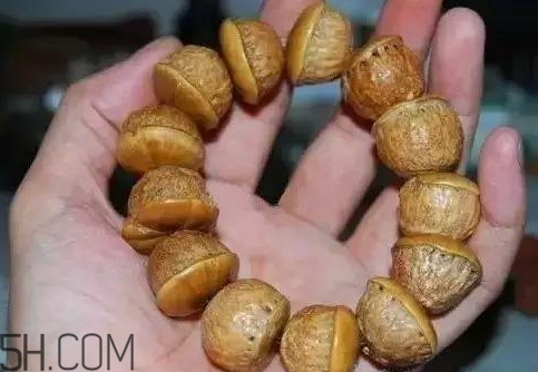 壯陽果和什么能配一起 壯陽果和什么泡酒最好 壯陽果和什么能配一起 壯陽果和什么泡酒最好