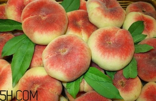 蟠桃貴嗎？蟠桃與那些食物不能一起吃？