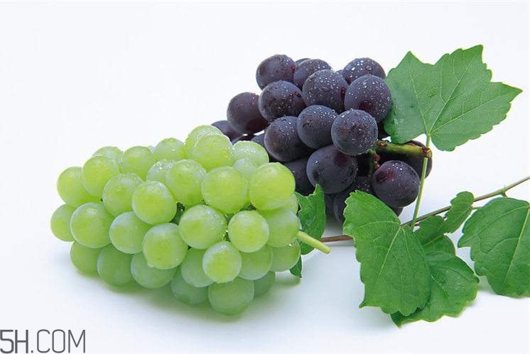 哪些水果有滋陰效果？有滋陰效果的水果有哪些？