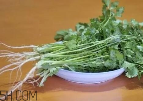 香菜根煮水能減肥嗎？香菜根煮水能天天喝嗎？