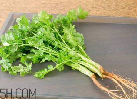 香菜根煮水能美白嗎？香菜根煮水能祛斑嗎？