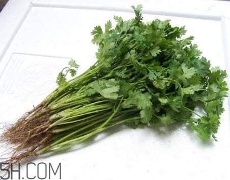 香菜根煮水能美白嗎？香菜根煮水能祛斑嗎？