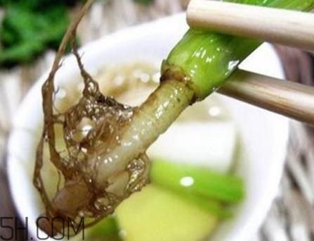 香菜根煮水能美白嗎？香菜根煮水能祛斑嗎？