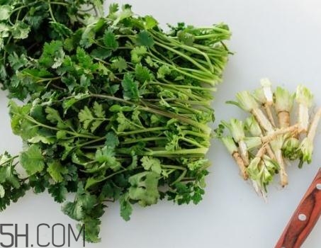 香菜根煮水能退燒嗎？香菜根煮水能治咳嗽嗎？