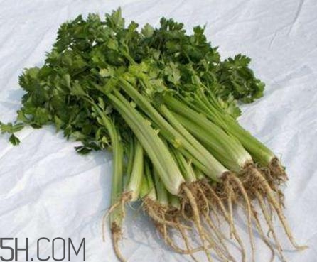 香菜根煮水能退燒嗎？香菜根煮水能治咳嗽嗎？