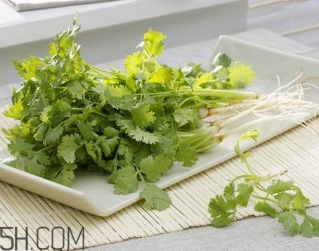 香菜根煮水能治濕疹嗎？香菜根煮水孕婦能喝嗎？