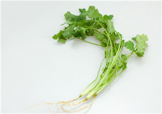 香菜根煮水能治濕疹嗎？香菜根煮水孕婦能喝嗎？