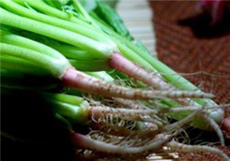 香菜根煮水能美白嗎？香菜根煮水能祛斑嗎？