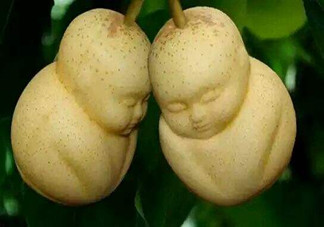 女人吃人參果有哪些好處？人參果的營養(yǎng)價值是什么？