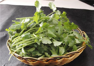 香菜根煮水能減肥嗎？香菜根煮水能天天喝嗎？