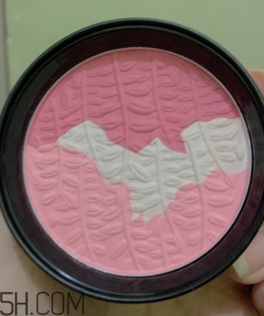 瑪麗黛佳腮紅怎么打？瑪麗黛佳腮紅怎么用？