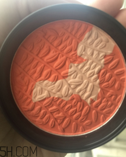 瑪麗黛佳腮紅怎么打？瑪麗黛佳腮紅怎么用？