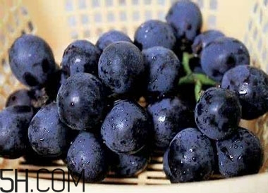 吃黑加侖對(duì)眼睛有什么好處？吃黑加侖要注意什么？