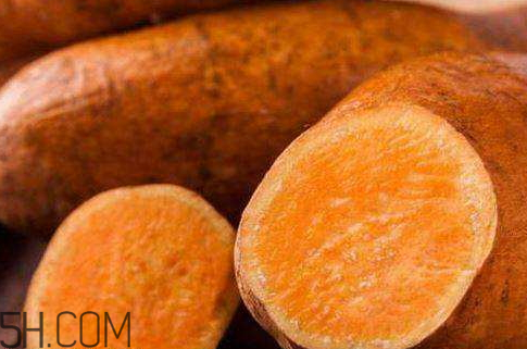 紅薯粉可以放多久 紅薯粉放久可以嗎 紅薯粉可以放多久 紅薯粉放久可以嗎