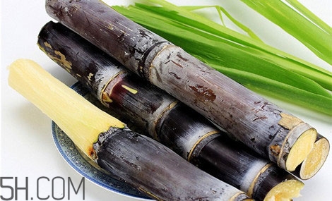 吃完甘蔗多久可以吃柿子？甘蔗和柿子一起吃了怎么辦？